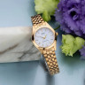 Жіночий годинник Casio LTP-1129N-7A