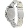 Жіночий годинник Casio LTP-1314SG-1A
