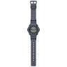 Чоловічий годинник Casio WS-1300H-8A